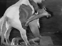 Vintage Dog Sex Porn - MY ANIMAL TUBE