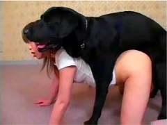 Girls Having Sex With Dogs - MY ANIMAL TUBE